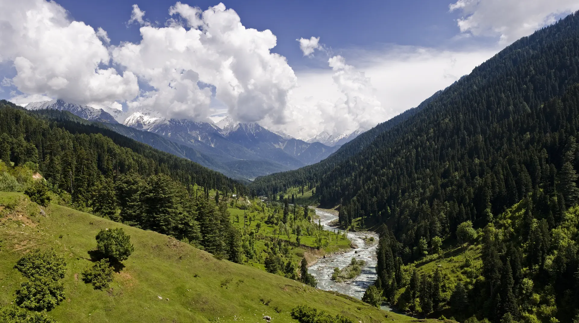 Kashmir Delight Tour Package